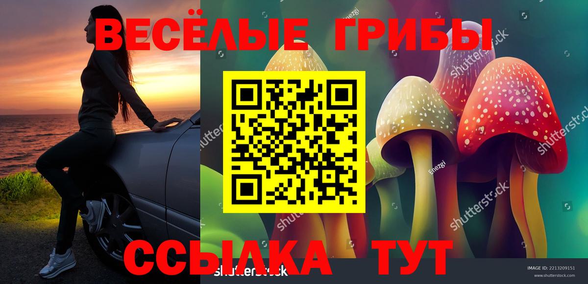 Галлюциногенные грибы Magic Shrooms  Вход с VPN  Калуга 
